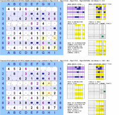 "Finned Sashimi Siamese Jellyfish" orientato in riga con 2 "Single Fins" e 3 eliminazioni